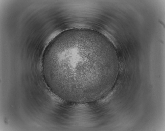 X0000097771074200803141740