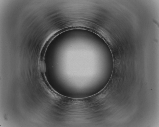 X0000097771076200803141740
