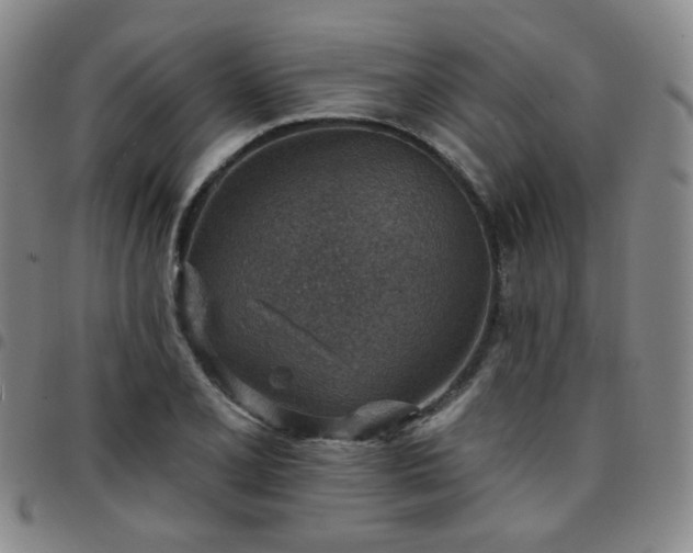X0000097771077200803141740