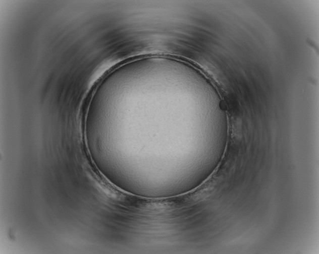 X0000097771078200803141740