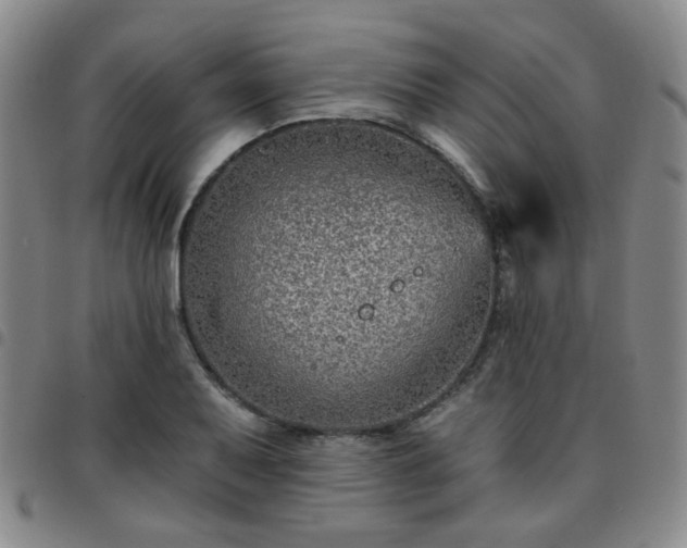 X0000097771079200803141740