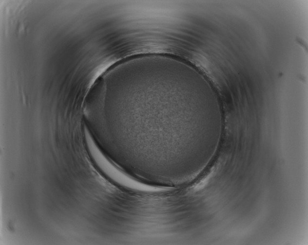 X0000097771081200803141740