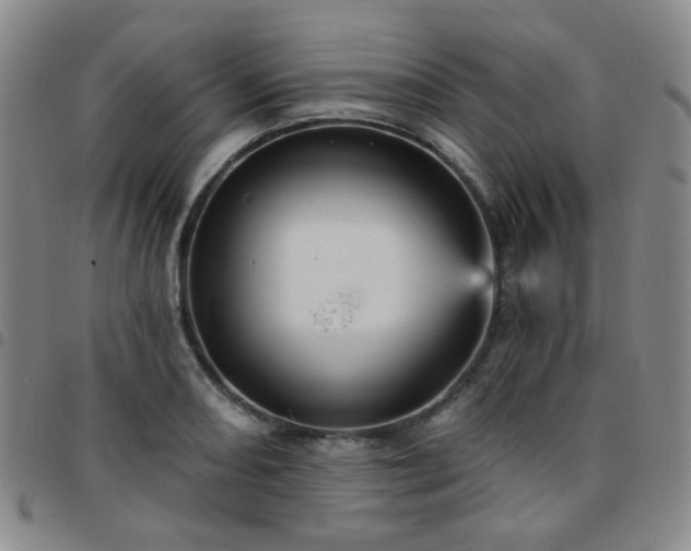 X0000097771082200803141740