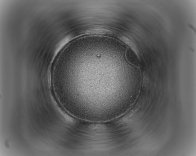X0000097771083200803141740