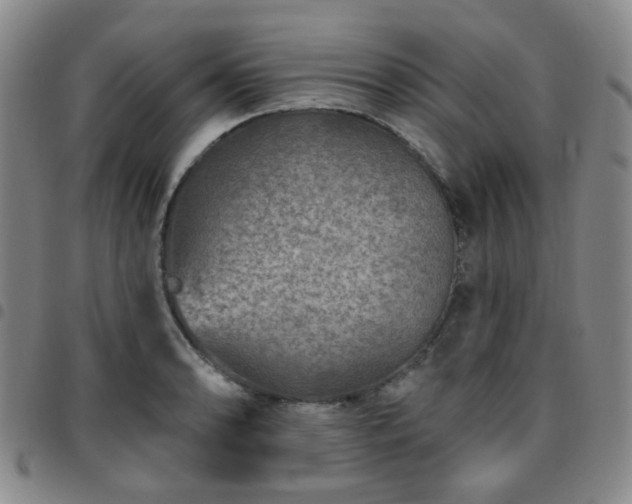 X0000097771086200803141740