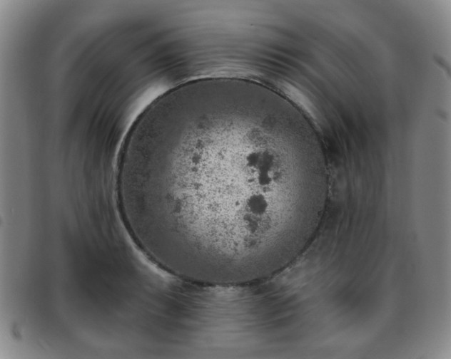 X0000097771087200803141740