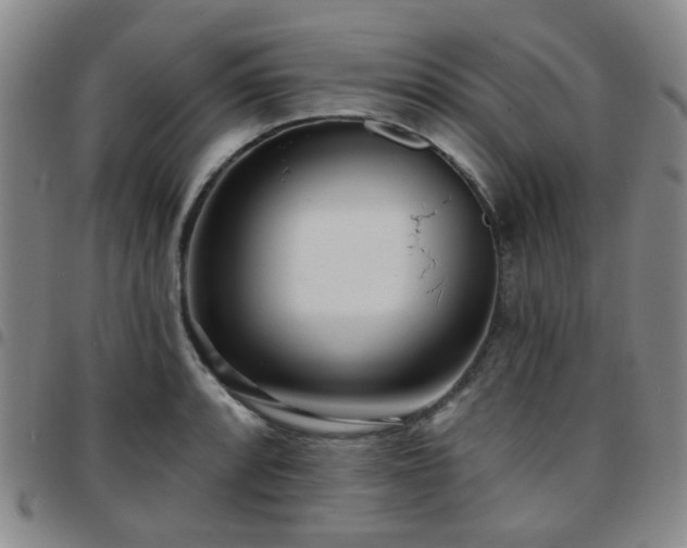X0000097771088200803141740