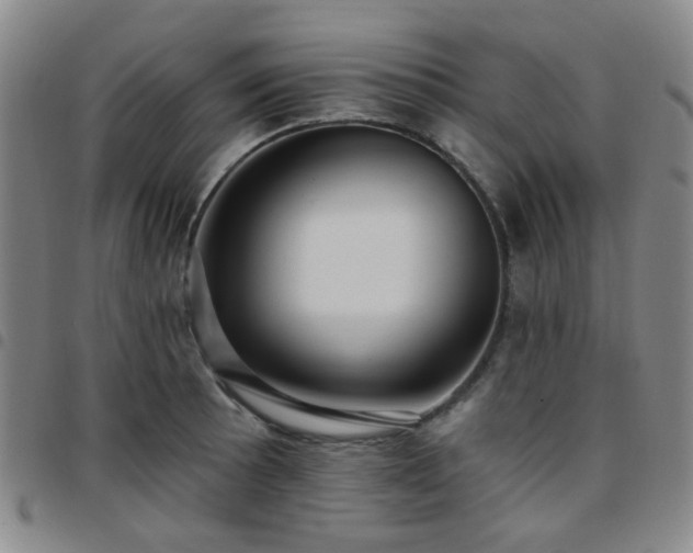 X0000097771089200803141740