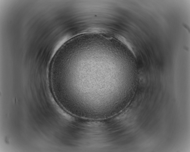 X0000097771091200803141740