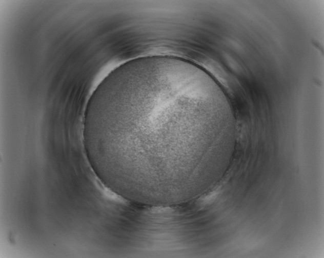 X0000097771094200803141740