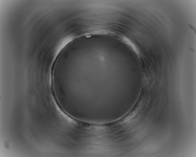 X0000097771095200803141740