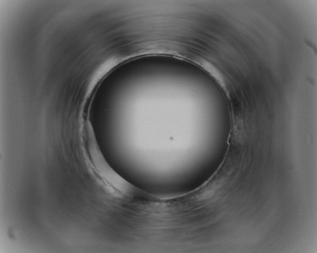 X0000097771096200803141740