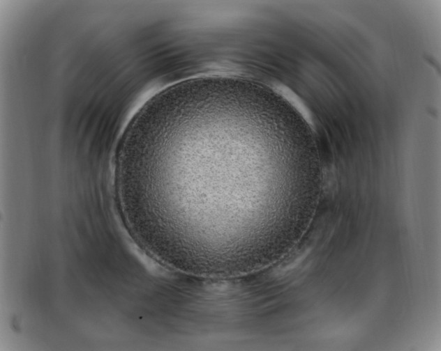 X0000097771099200803141740