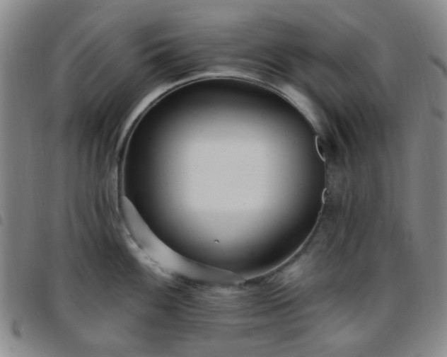 X0000097771100200803141740