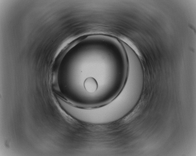 X0000097771101200803141740