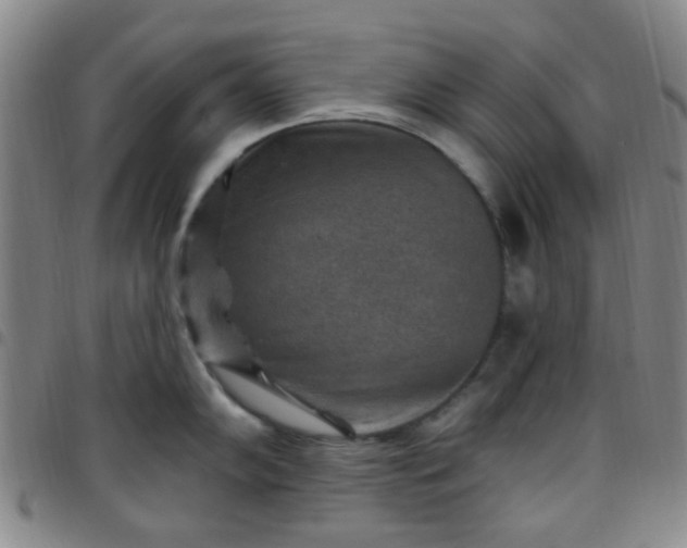 X0000097771102200803141740