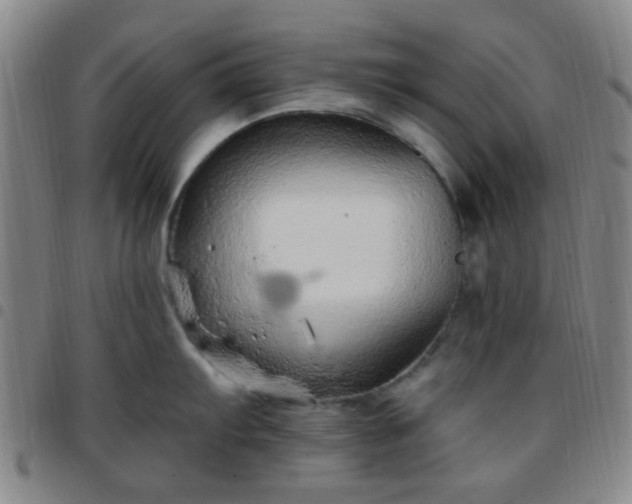 X0000097771103200803141740