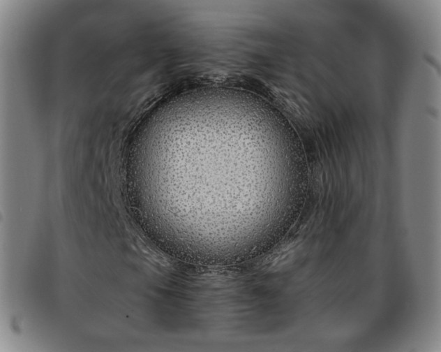 X0000097771105200803141739