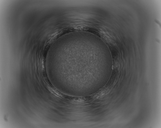 X0000097771106200803141739