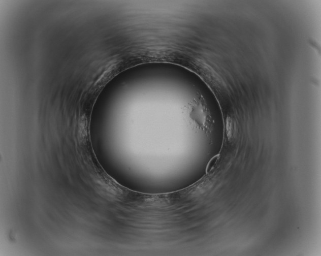 X0000097771107200803141739