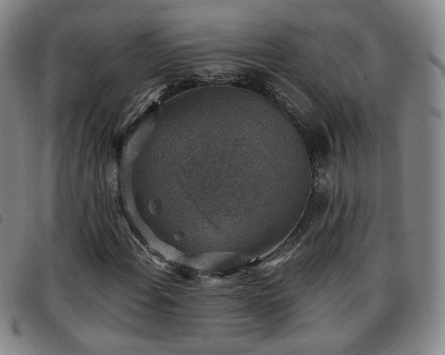 X0000097771108200803141739
