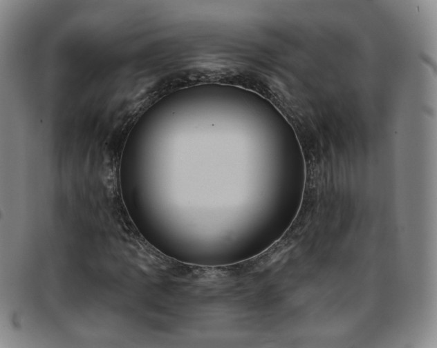 X0000097771109200803141739