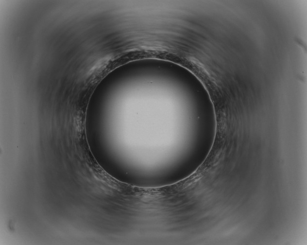 X0000097771110200803141739