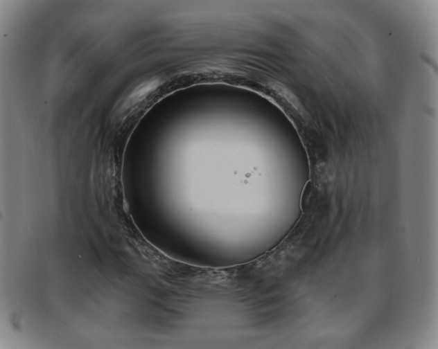X0000097771111200803141739