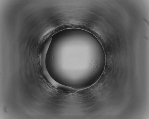 X0000097771112200803141739