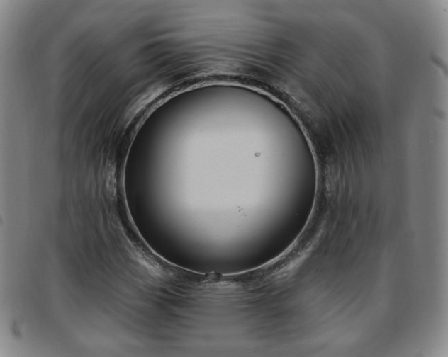 X0000097771113200803141739