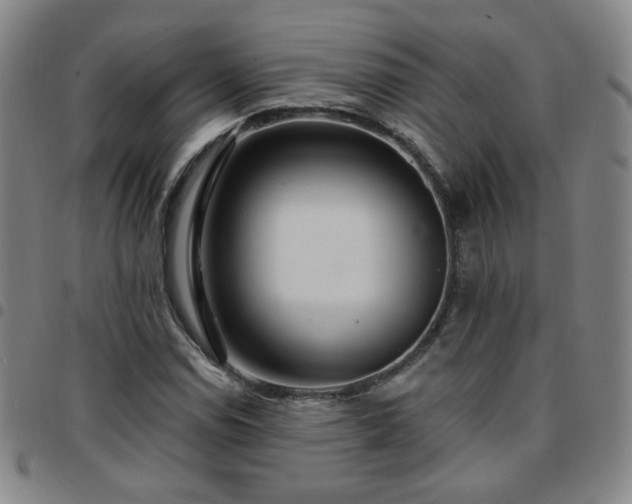 X0000097771114200803141739