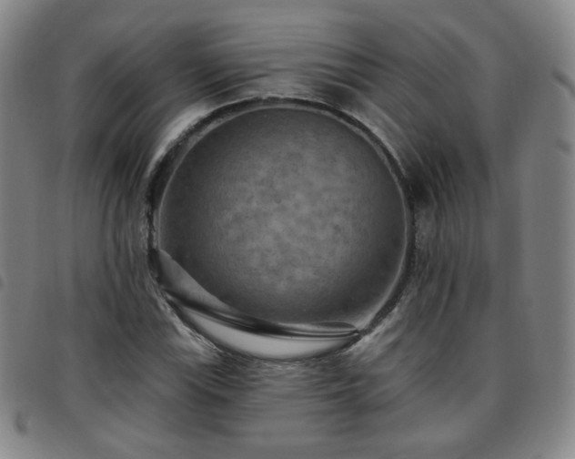 X0000097771115200803141739
