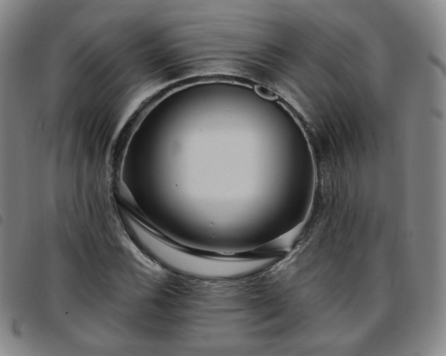 X0000097771116200803141739