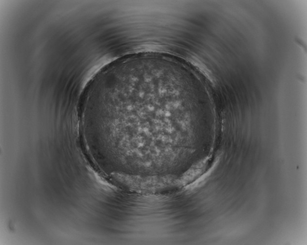 X0000097771117200803141739