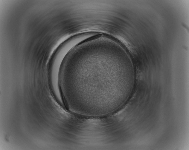 X0000097771118200803141739