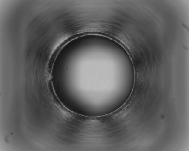 X0000097771119200803141739