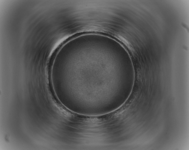 X0000097771120200803141739
