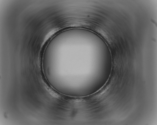 X0000097771122200803141739