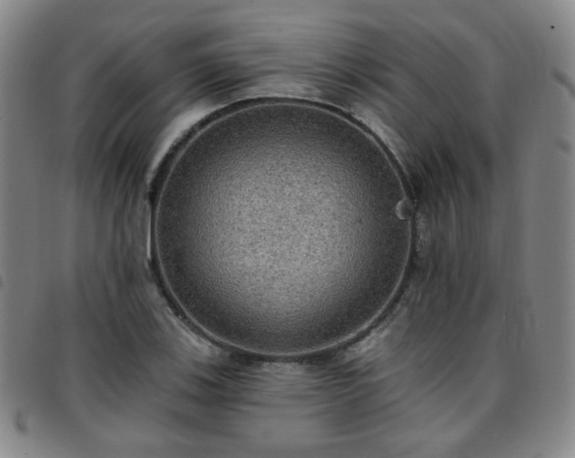 X0000097771123200803141739