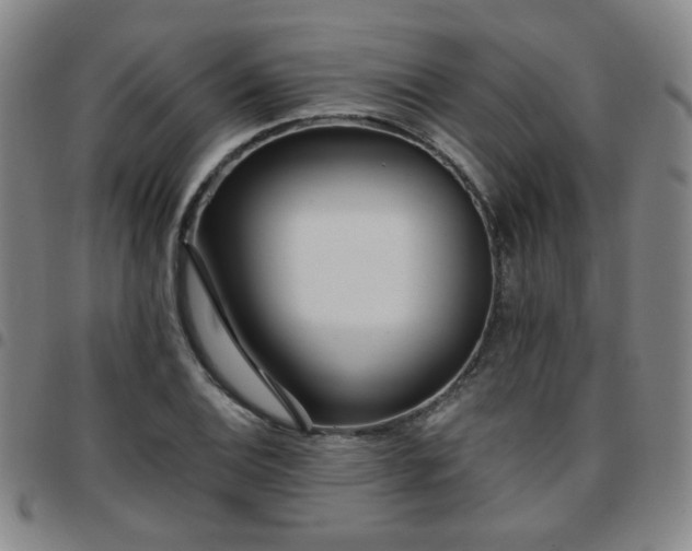 X0000097771124200803141739