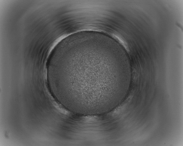 X0000097771125200803141739