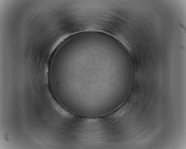 X0000097771126200803141739