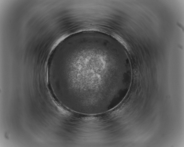 X0000097771127200803141739