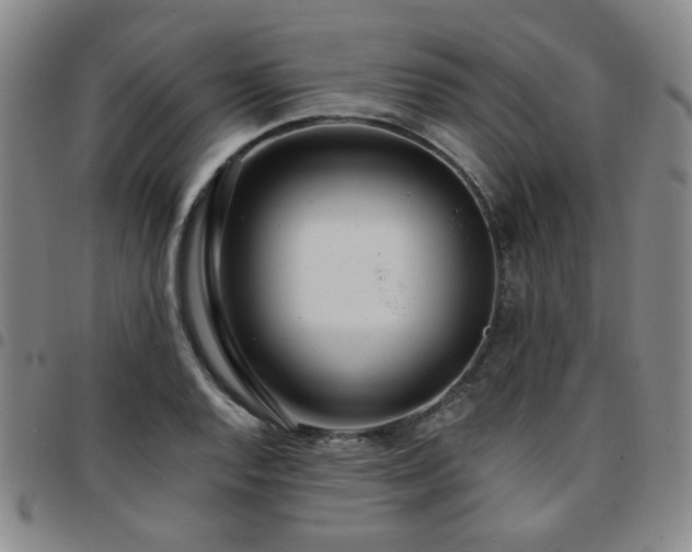 X0000097771128200803141739
