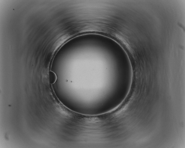 X0000097771129200803141739