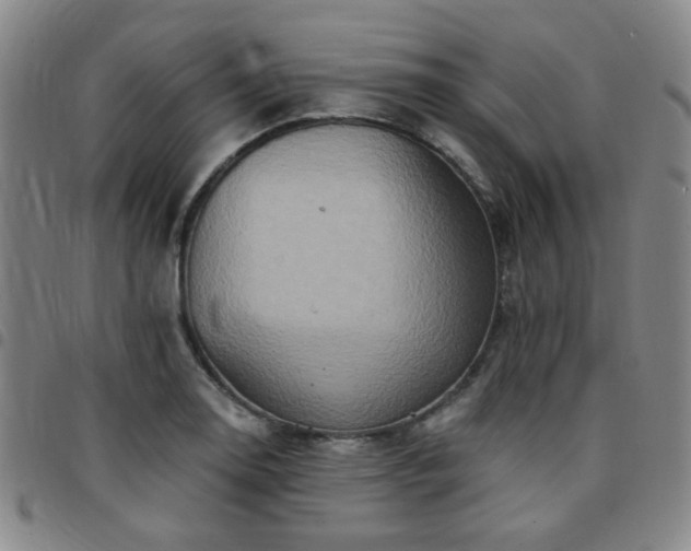 X0000097771130200803141739