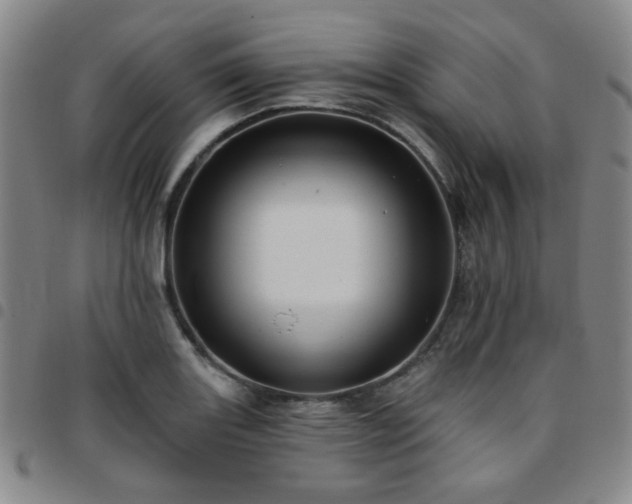 X0000097771131200803141739
