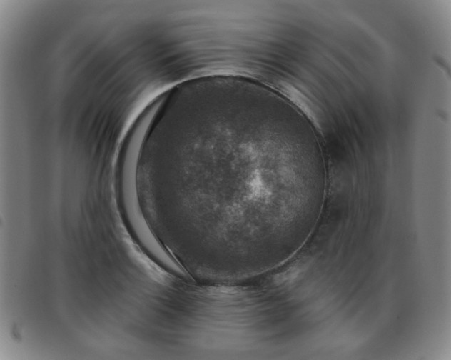 X0000097771132200803141739