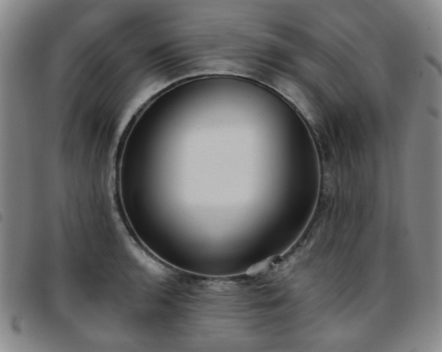 X0000097771136200803141739