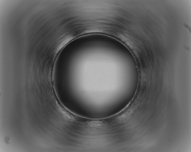 X0000097771137200803141739